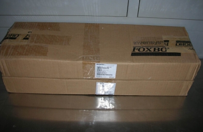 FOXBORO FBM06 P0400YG fbm6