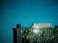 HUAWEI IDA-OCI5/PMC0A11M1